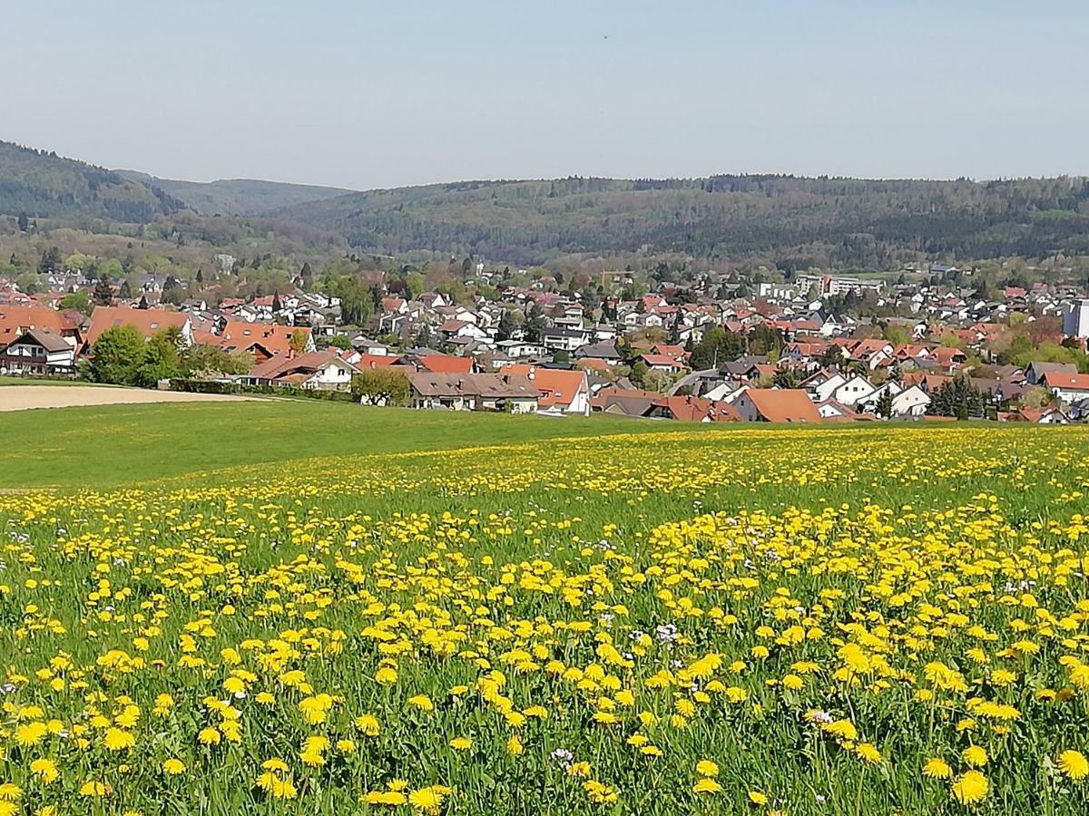 Annettes Ferienwohnung Michelstadt Luaran gambar