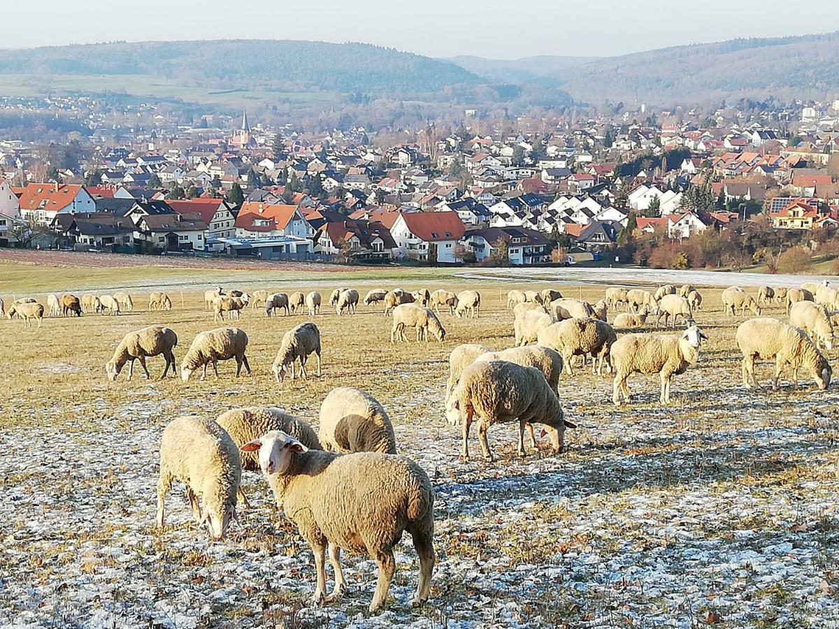 Annettes Ferienwohnung Michelstadt Luaran gambar